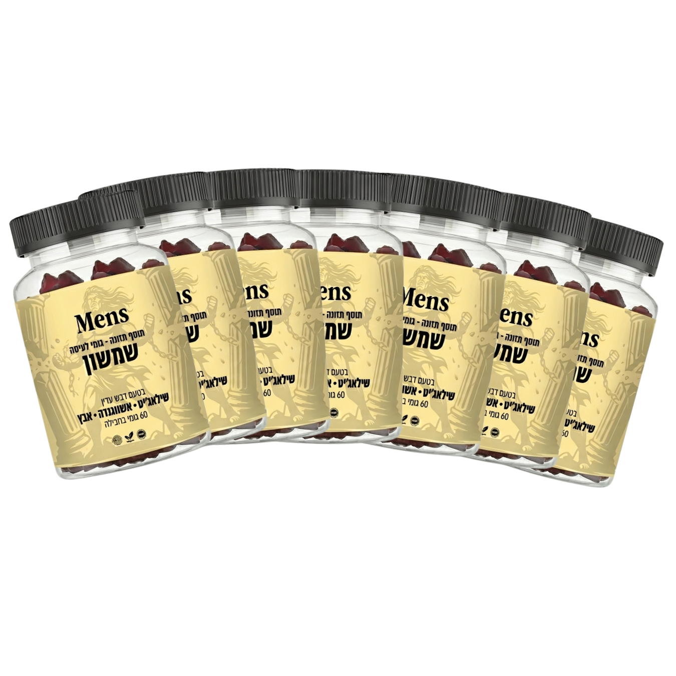 חצי שנה + חודש במתנה